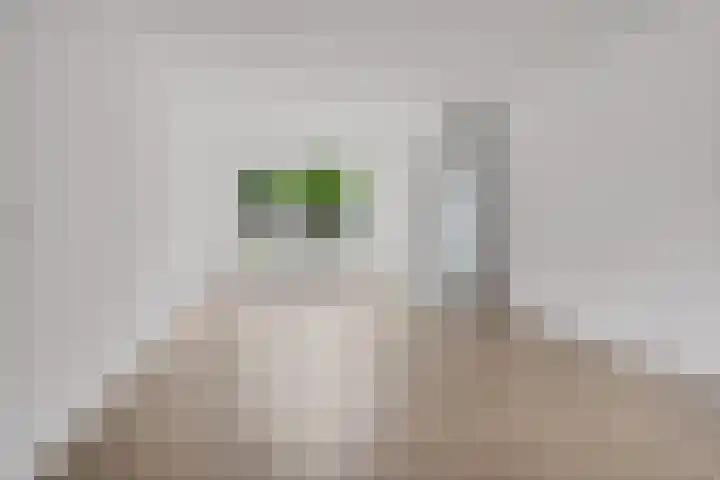 Waterkers 14 Zwaag thumbnail 16