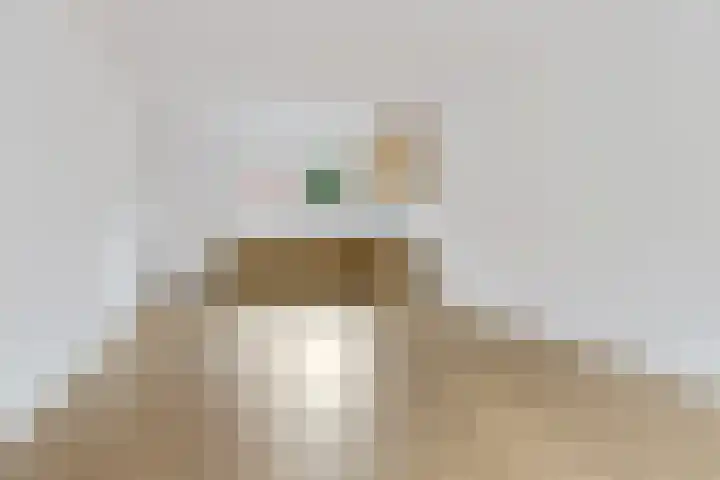 Waterkers 14 Zwaag thumbnail 18