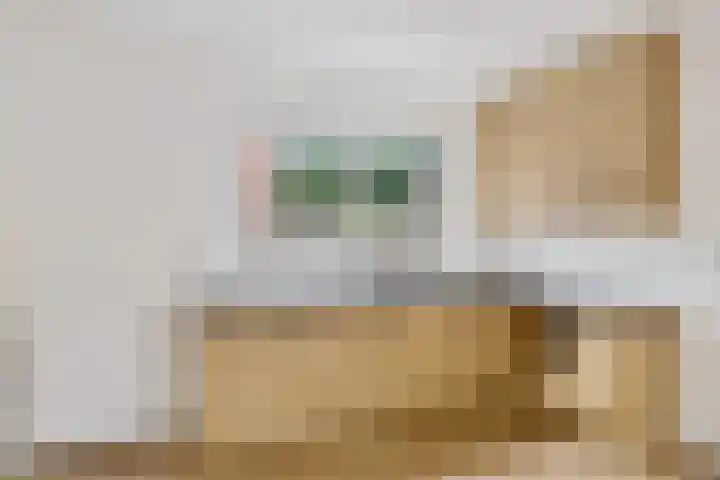Waterkers 14 Zwaag thumbnail 19