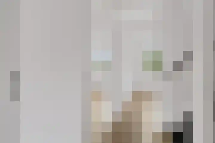 Waterkers 14 Zwaag thumbnail 23