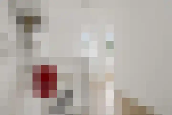 Waterkers 14 Zwaag thumbnail 39