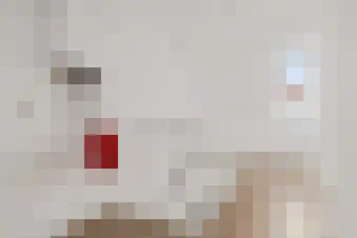 Waterkers 14 Zwaag thumbnail 40