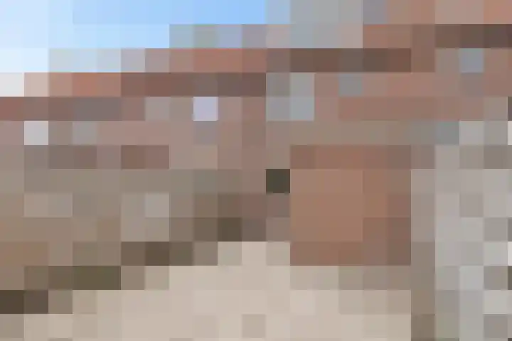 Waterkers 14 Zwaag thumbnail 46