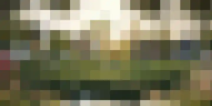 Waterkers 15 Almelo thumbnail 5
