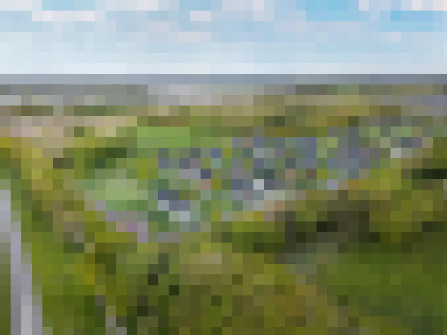 Waterkers 15 Almelo thumbnail 6