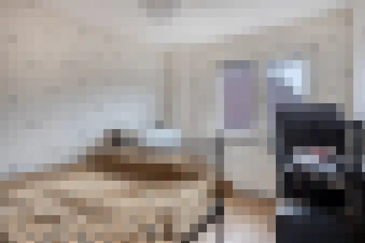 Waterkers 15 Zwaag thumbnail 16