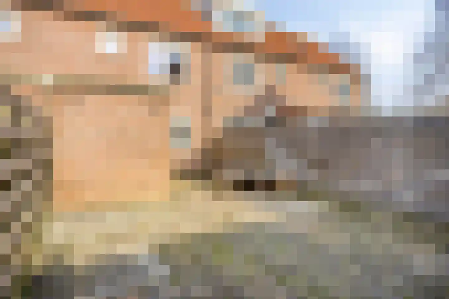 Waterkers 15 Zwaag thumbnail 24