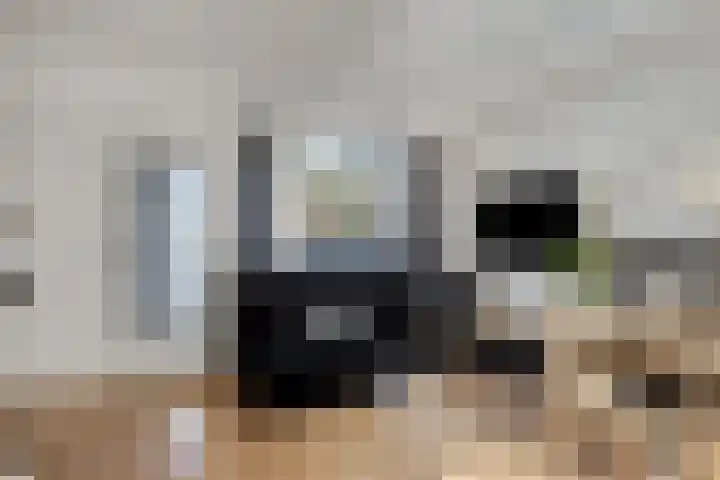 Waterkers 15 Zwaag thumbnail 4