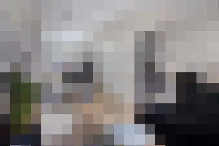 Waterkers 15 Zwaag thumbnail 5