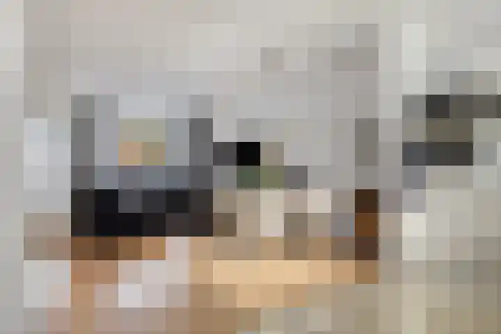 Waterkers 15 Zwaag thumbnail 7