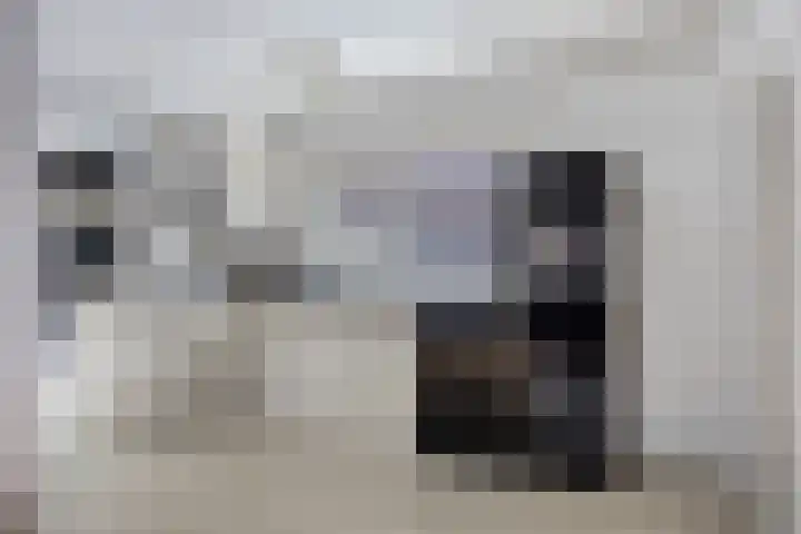 Waterkers 15 Zwaag thumbnail 8
