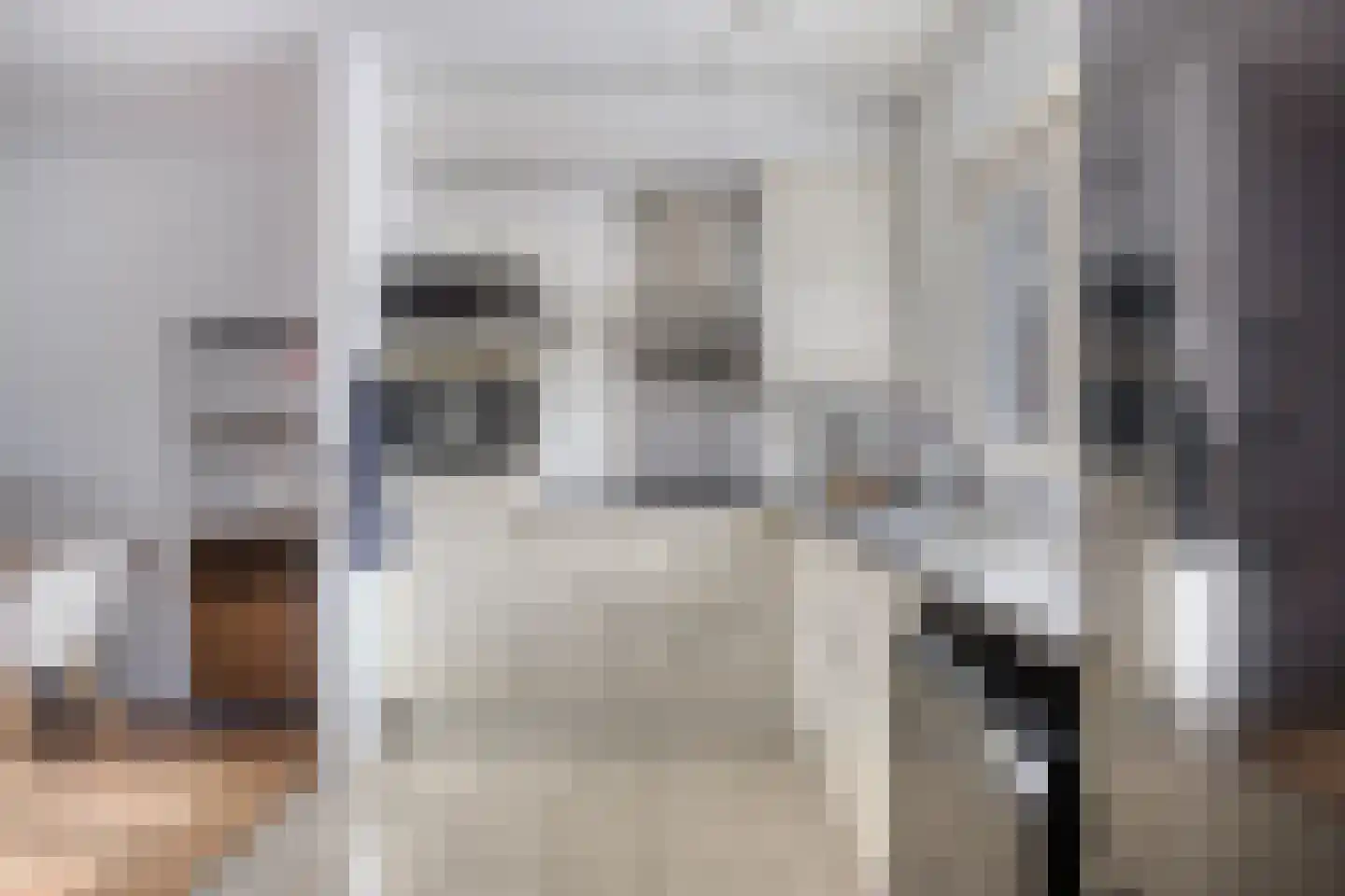 Waterkers 15 Zwaag thumbnail 9