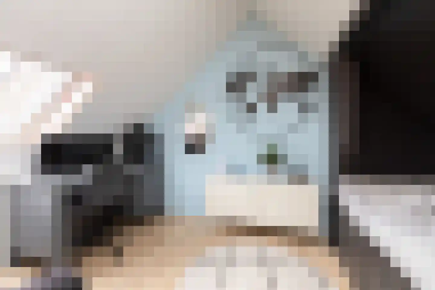 Waterkers 16 Sneek thumbnail 22