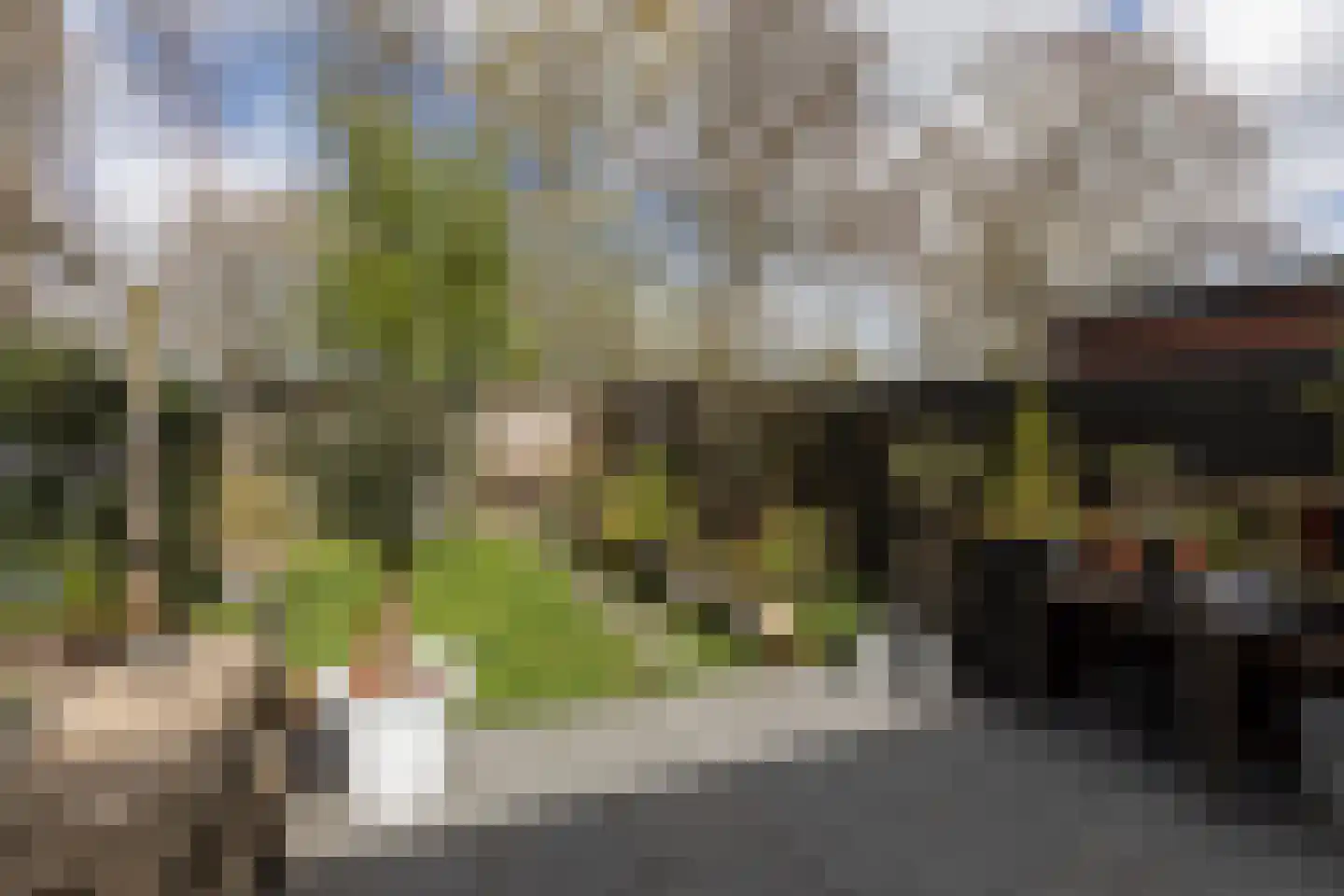 Waterkers 16 Sneek thumbnail 24
