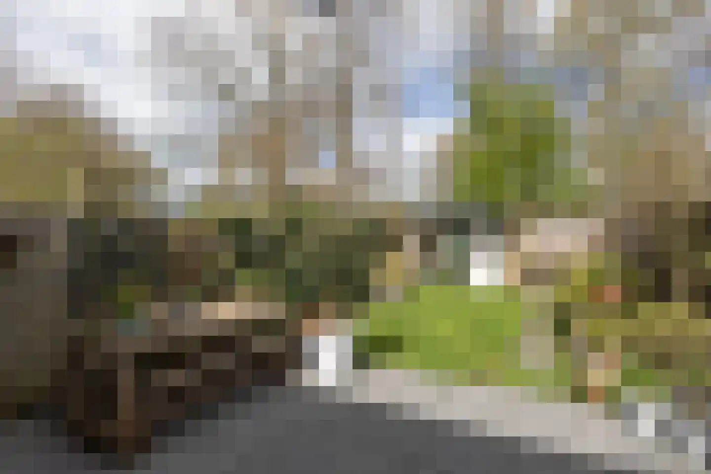 Waterkers 16 Sneek thumbnail 25