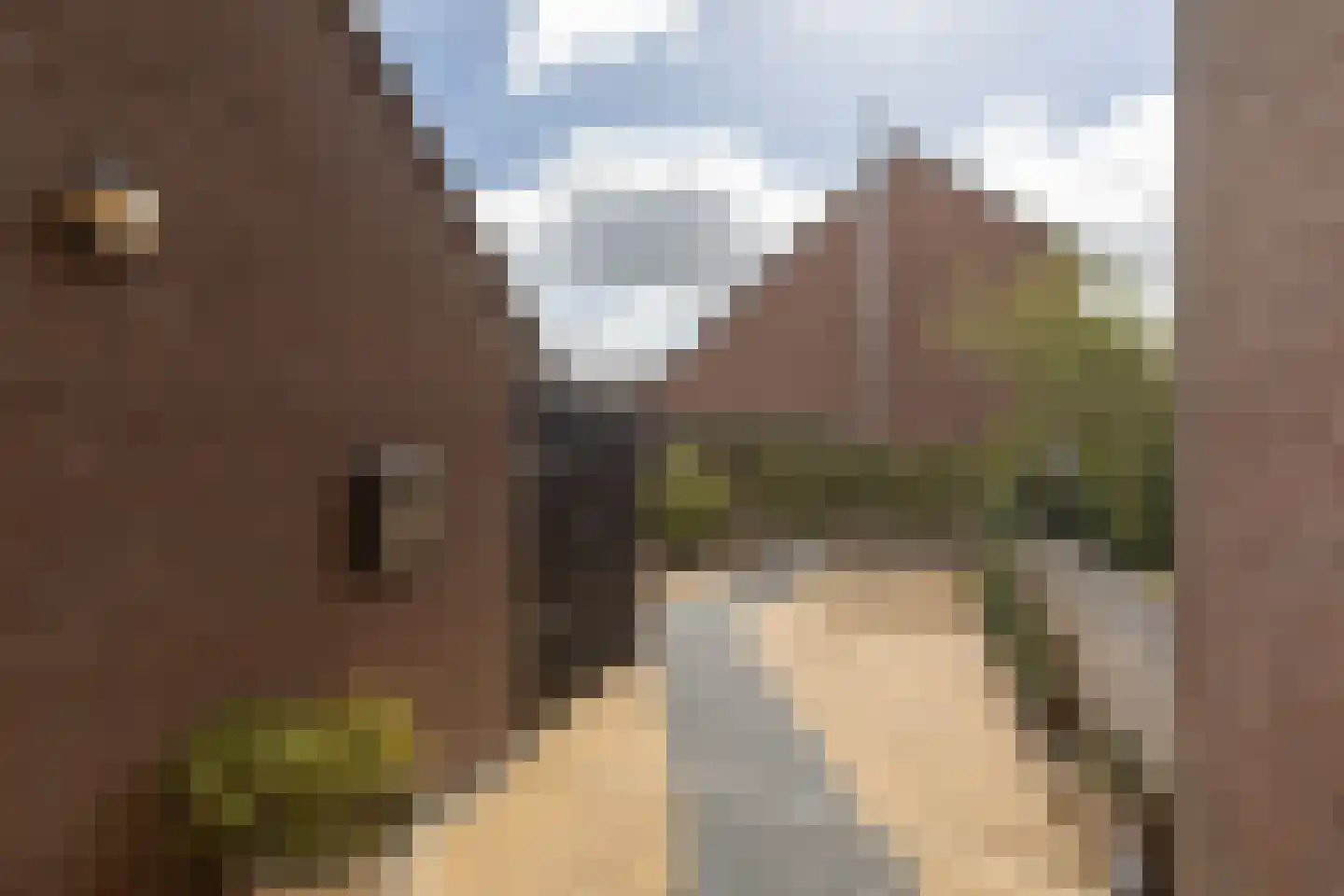 Waterkers 16 Sneek thumbnail 31