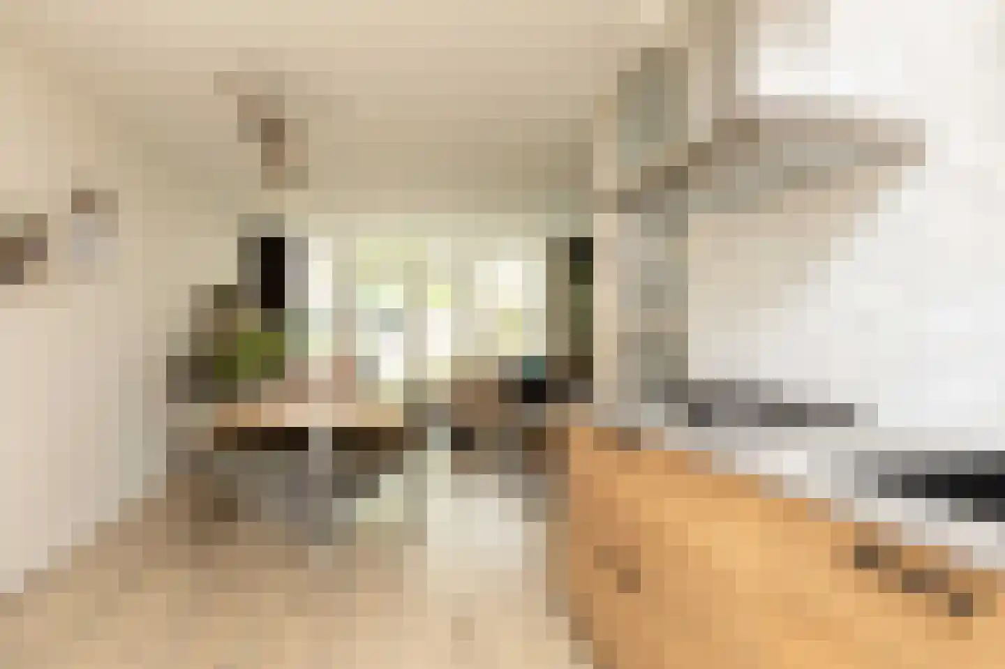 Waterkers 16 Sneek thumbnail 8