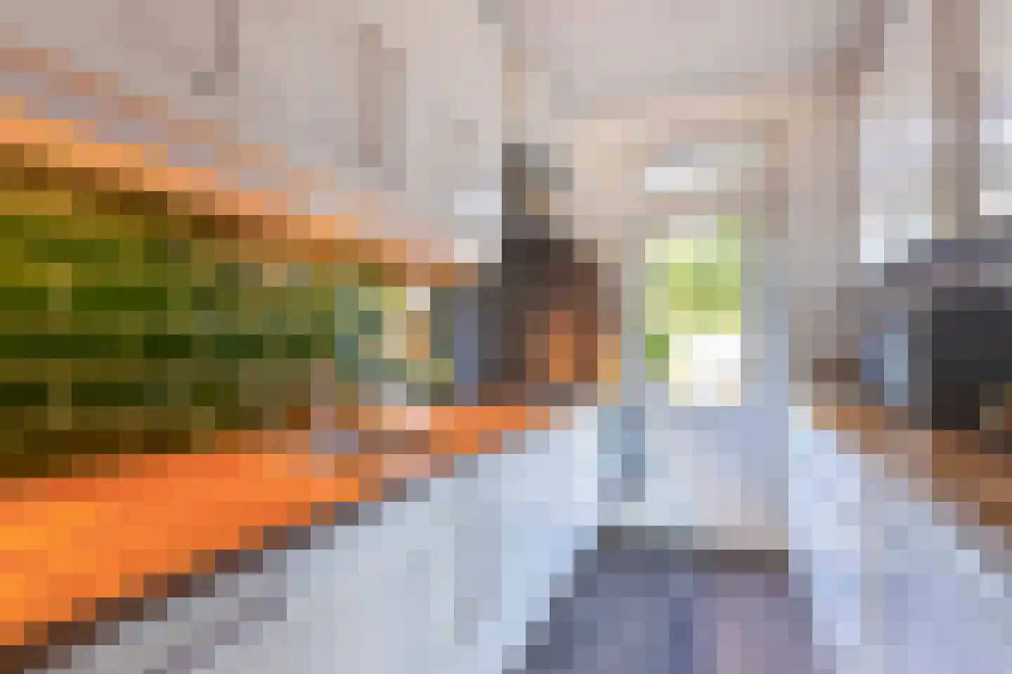 Waterkers 19 Zwaag thumbnail 11