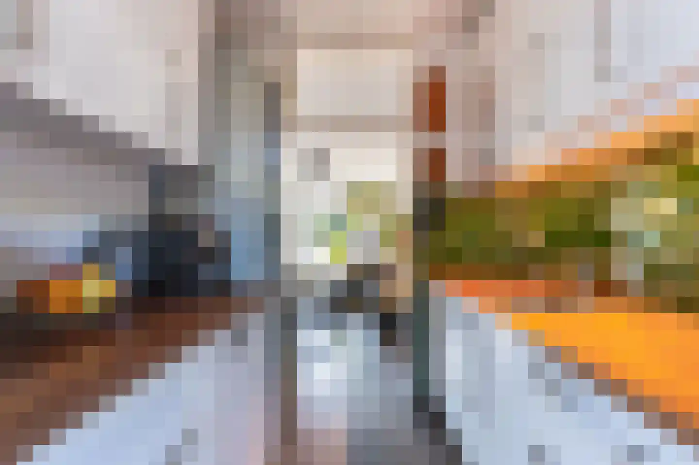 Waterkers 19 Zwaag thumbnail 12