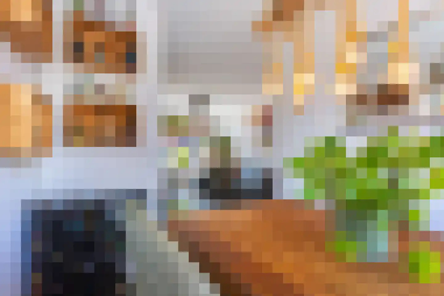 Waterkers 19 Zwaag thumbnail 13