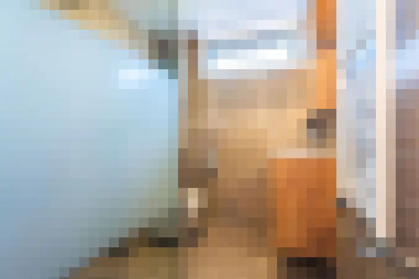 Waterkers 19 Zwaag thumbnail 19