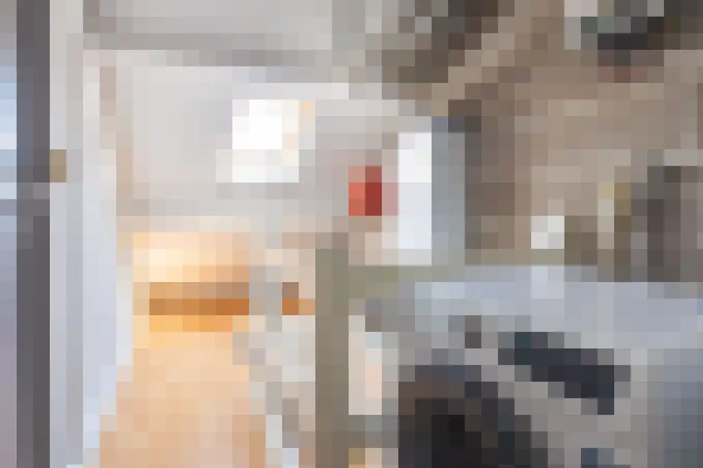 Waterkers 19 Zwaag thumbnail 27