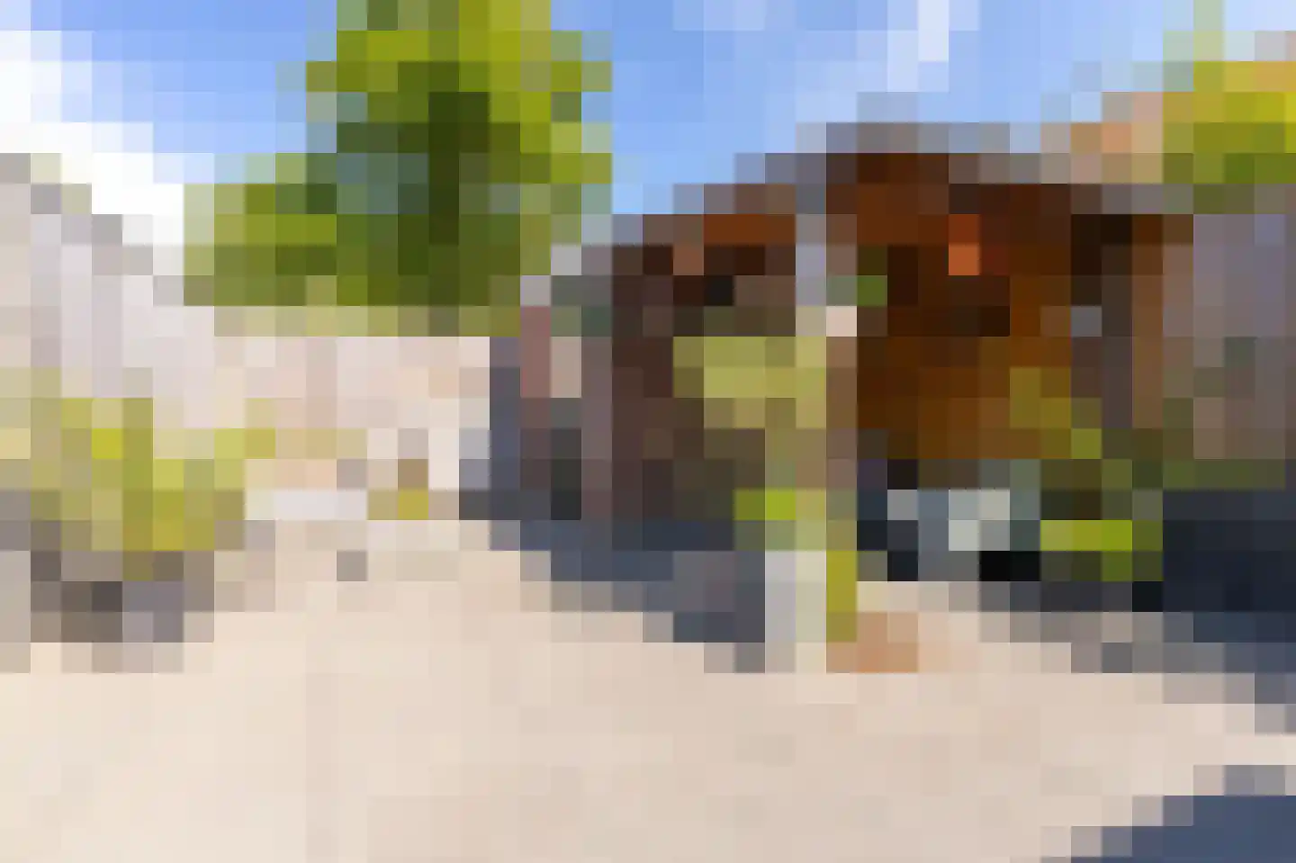 Waterkers 19 Zwaag thumbnail 34
