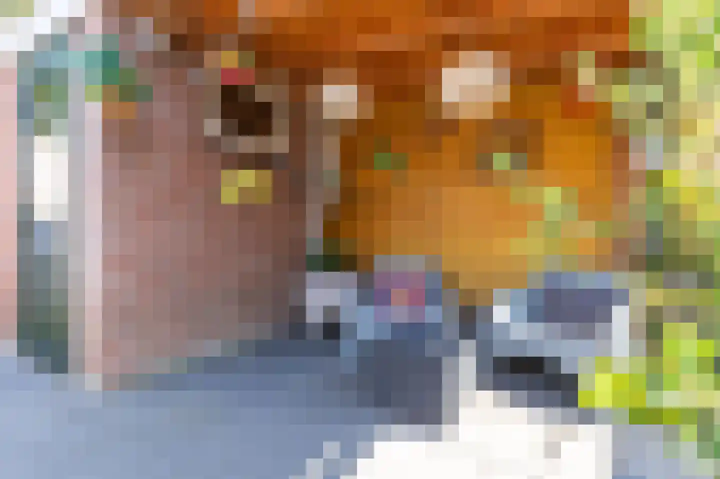 Waterkers 19 Zwaag thumbnail 35