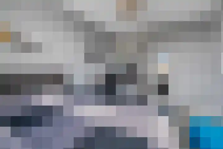 Waterkers 28 Nijverdal thumbnail 20