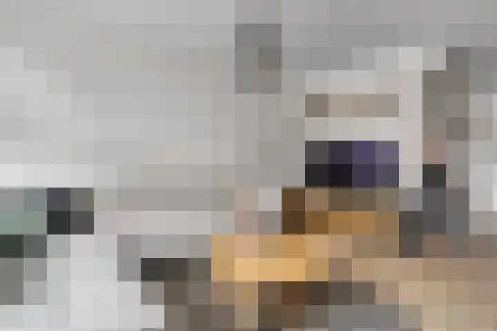 Waterkers 28 Nijverdal thumbnail 5