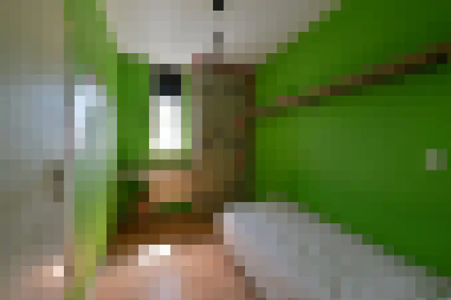 Waterkers 5 Kockengen thumbnail 16