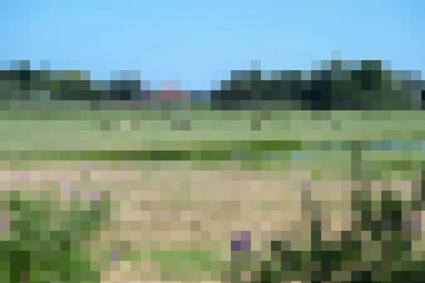 Waterkers 5 Kockengen thumbnail 33
