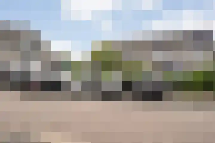 Waterkers 50 Kampen thumbnail 4