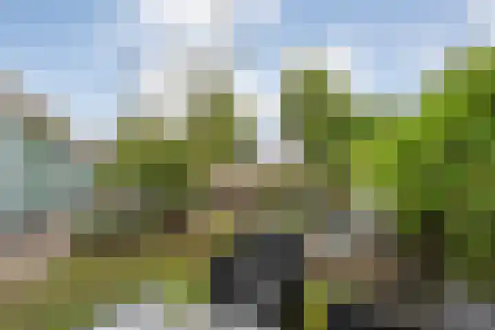 Waterkers 50 Kampen thumbnail 41