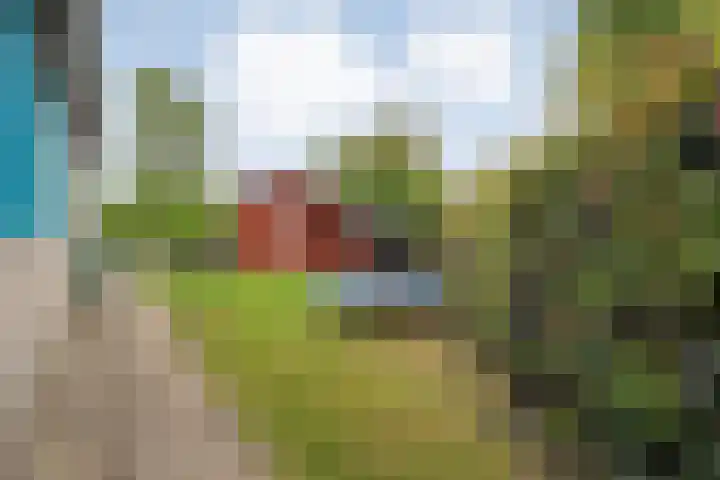 Waterkers 50 Kampen thumbnail 44
