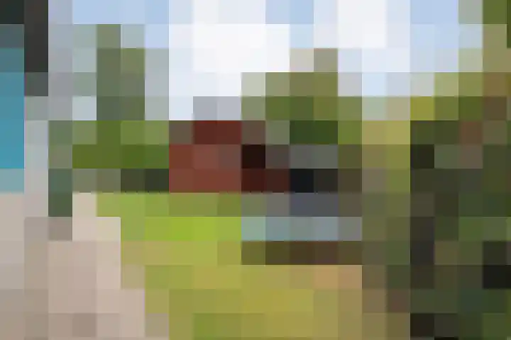 Waterkers 50 Kampen thumbnail 45
