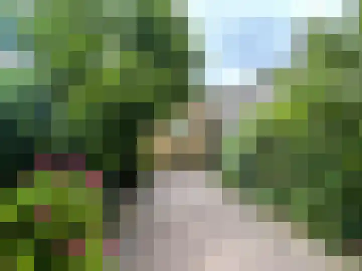 Waterkers 56 Zwaag thumbnail 11