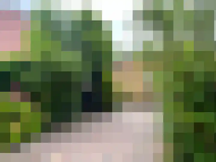 Waterkers 56 Zwaag thumbnail 12