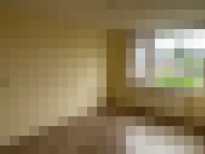 Waterkers 56 Zwaag thumbnail 15