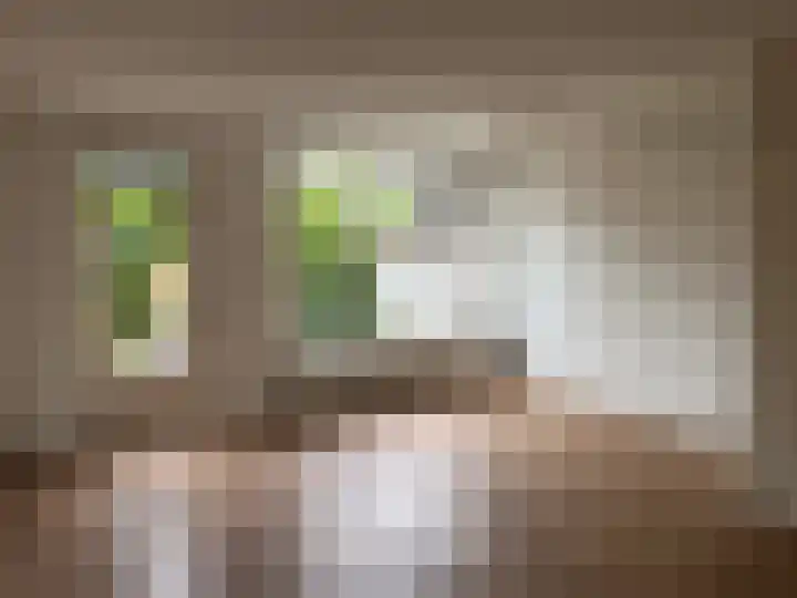 Waterkers 56 Zwaag thumbnail 5