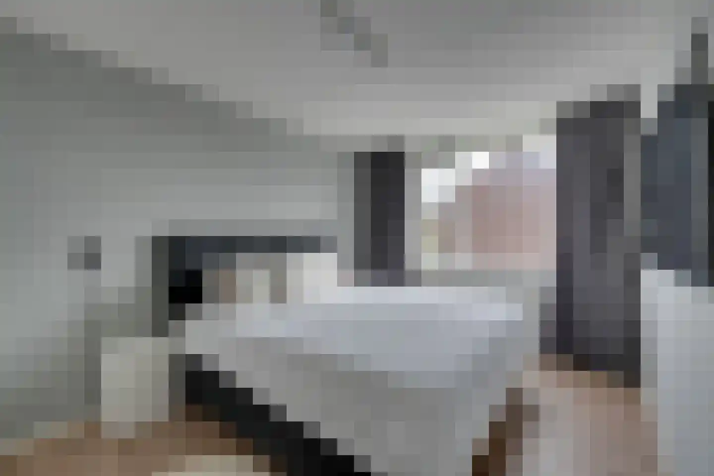 Waterkers 58 Zwaag thumbnail 31