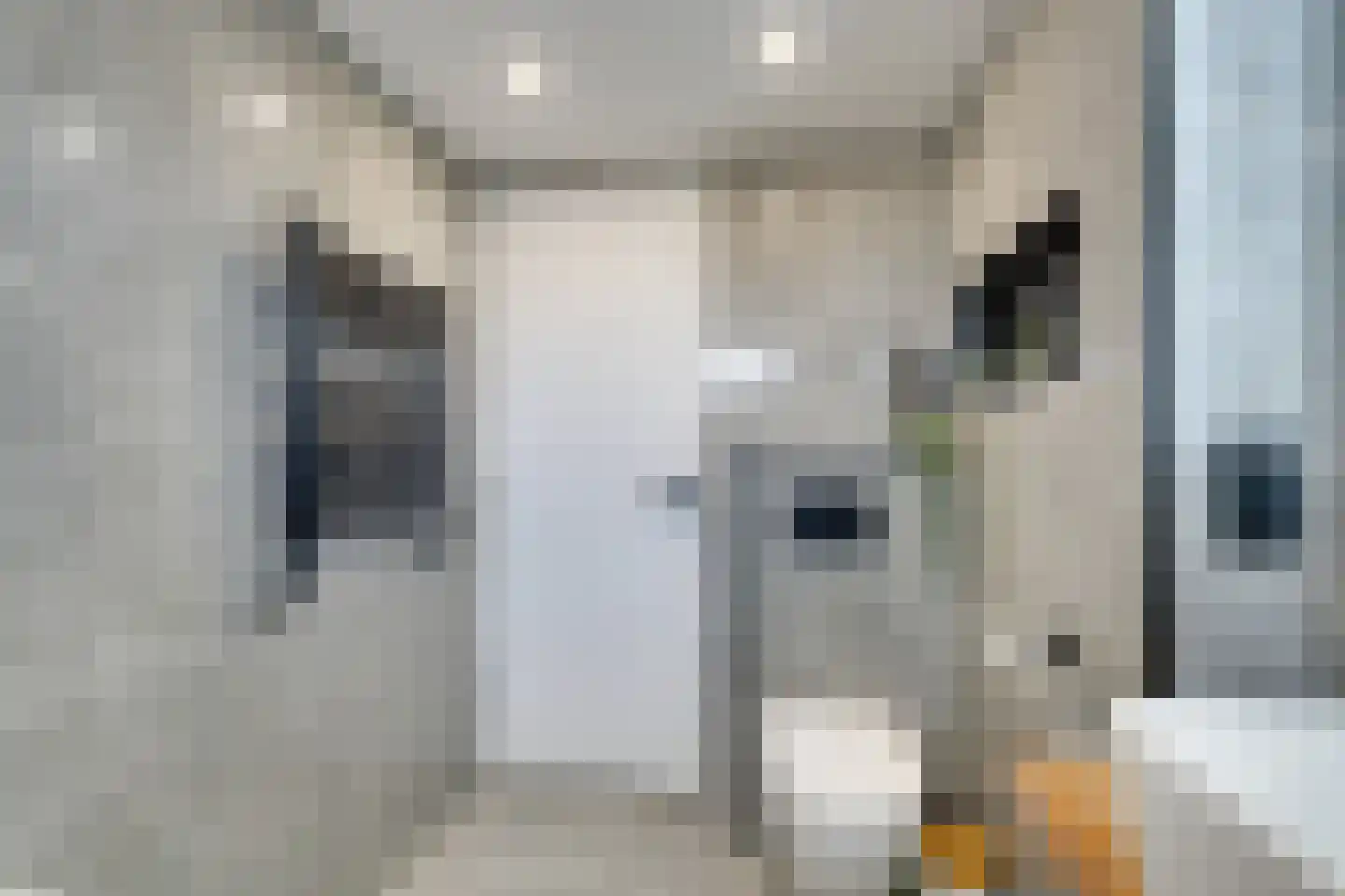 Waterkers 58 Zwaag thumbnail 42
