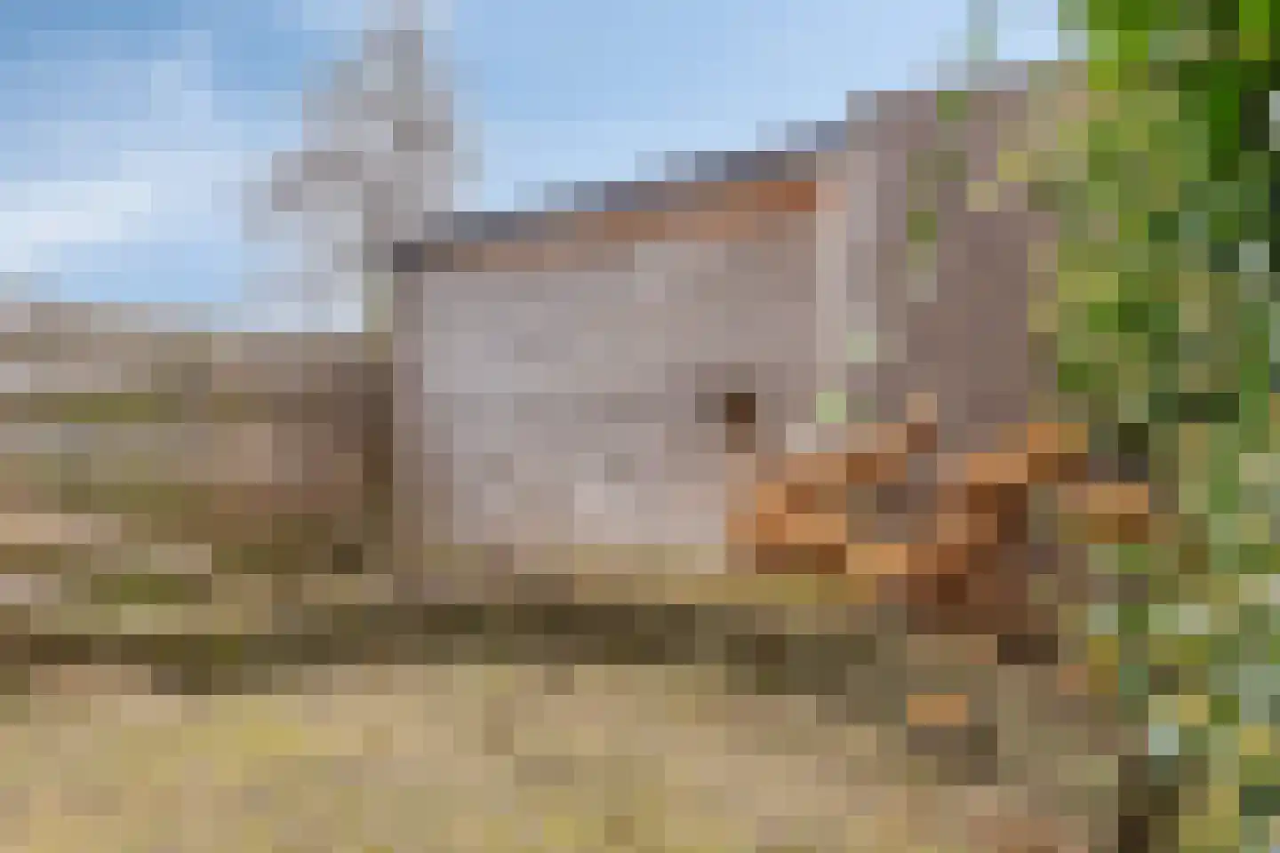 Waterkers 7 Kampen thumbnail 17