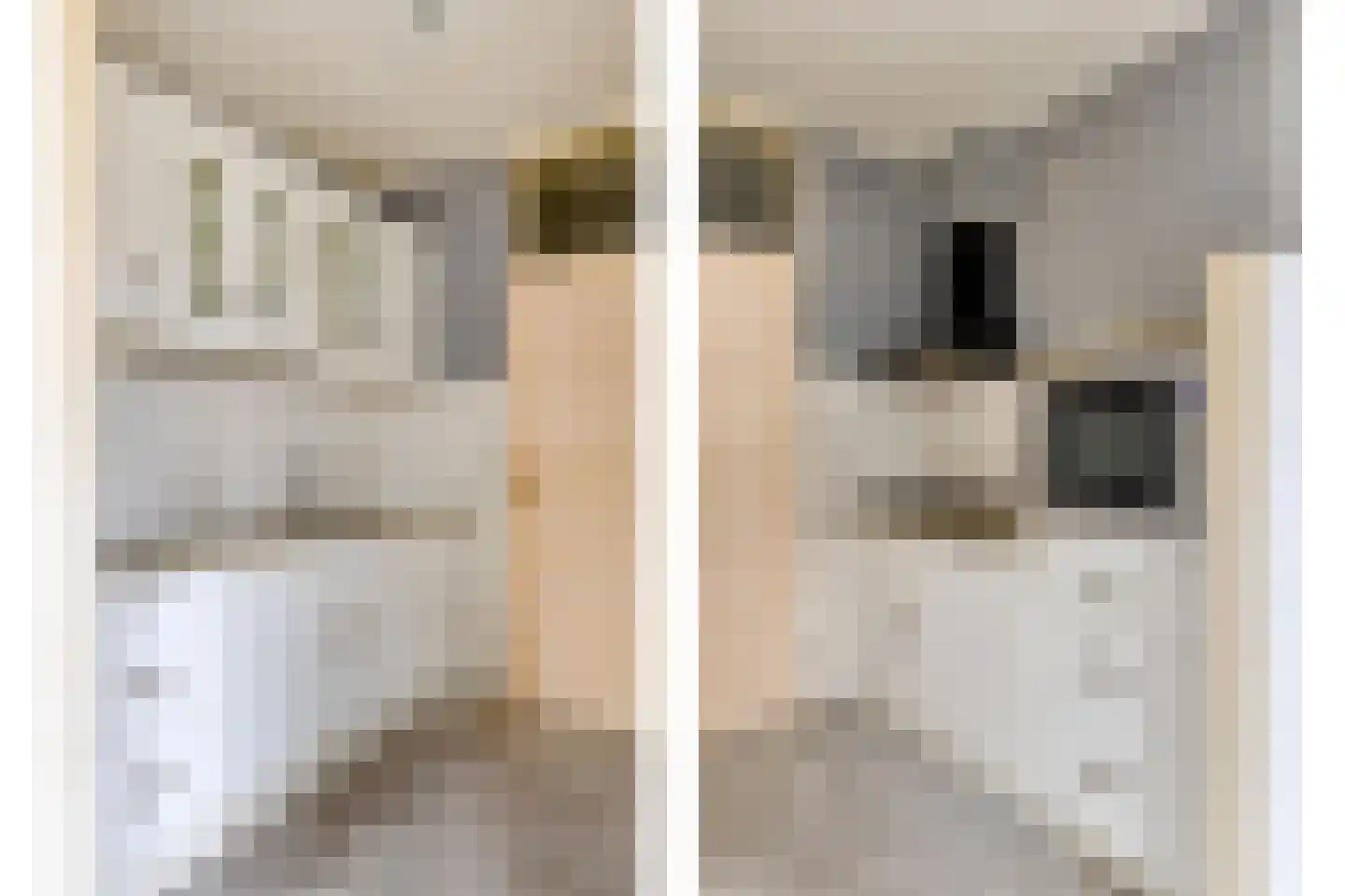 Waterkers 7 Kampen thumbnail 8