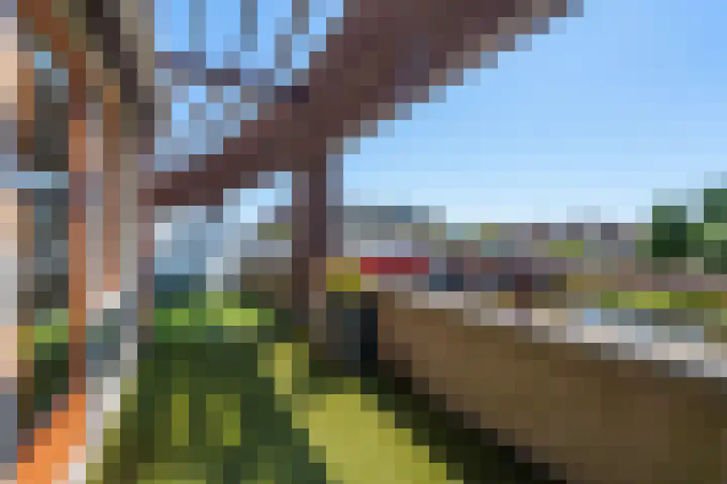 Waterkers 70 Rijnsburg thumbnail 15