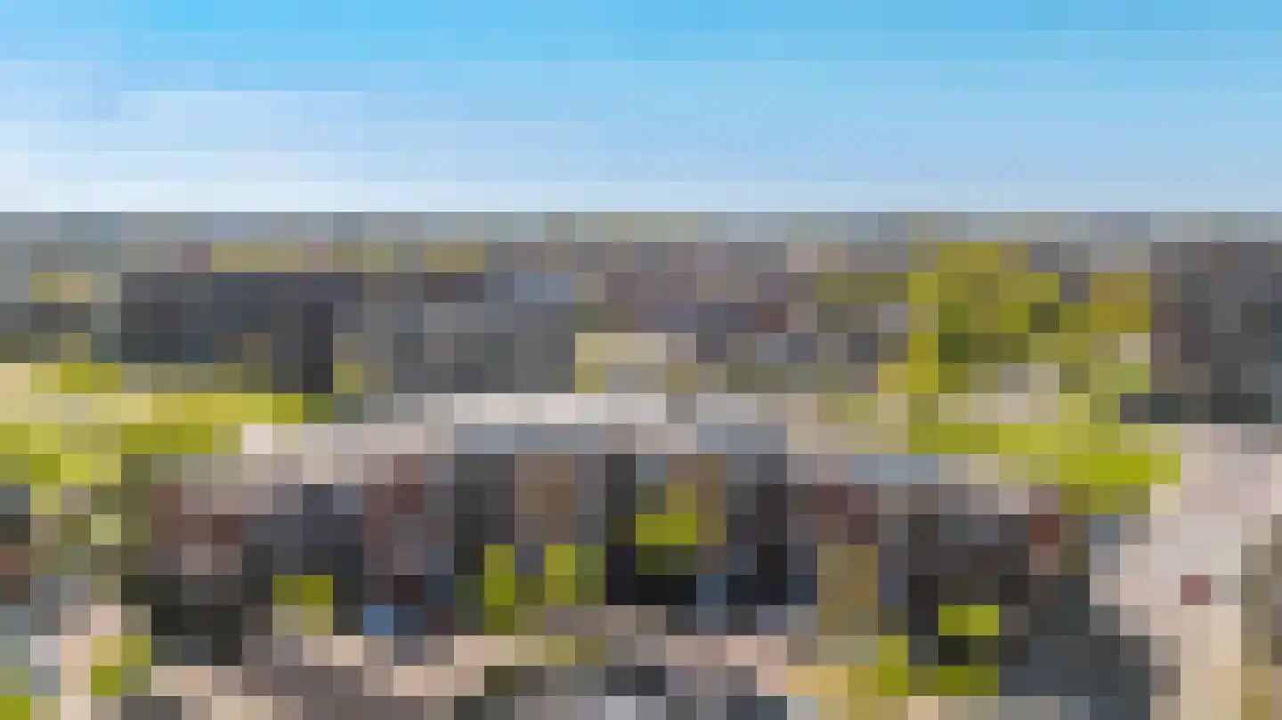 Waterkers 70 Rijnsburg thumbnail 5