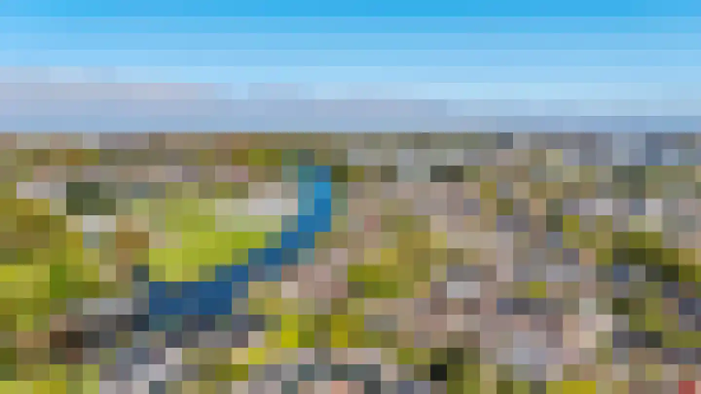 Waterkers 70 Rijnsburg thumbnail 6