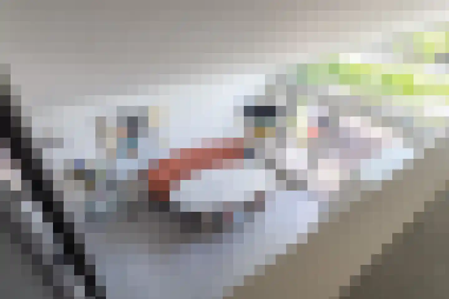 Waterkerslaan 1 Oosterhout thumbnail 37