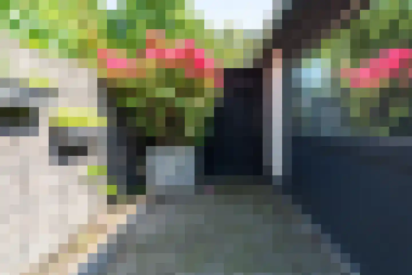 Waterkerslaan 1 Oosterhout thumbnail 5