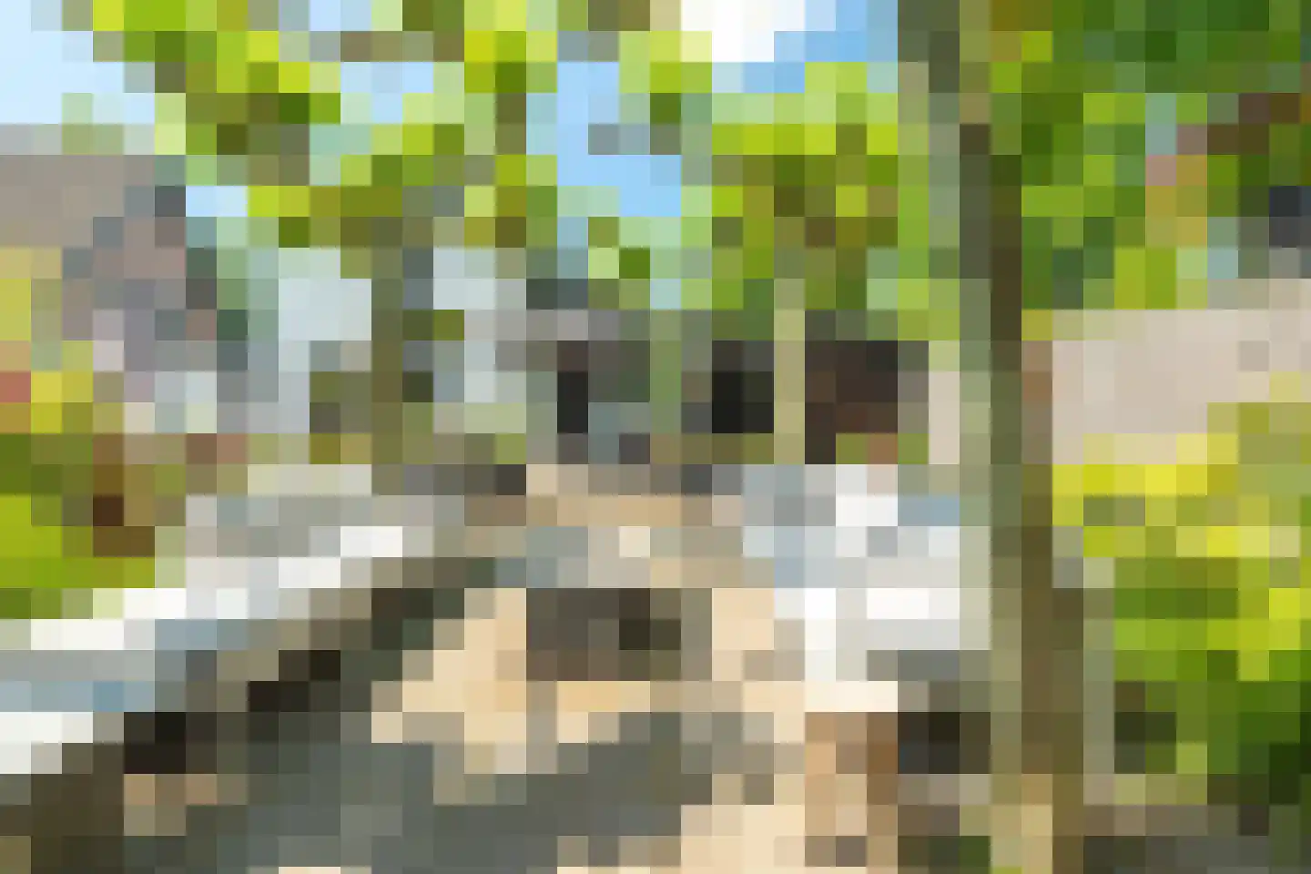 Waterkerslaan 1 Oosterhout thumbnail 55